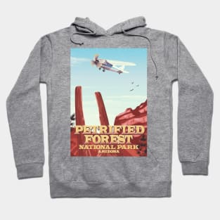 Petrified Forest National Park Arizona Hoodie